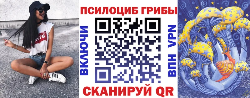Галлюциногенные грибы Magic Shrooms  Курчалой 